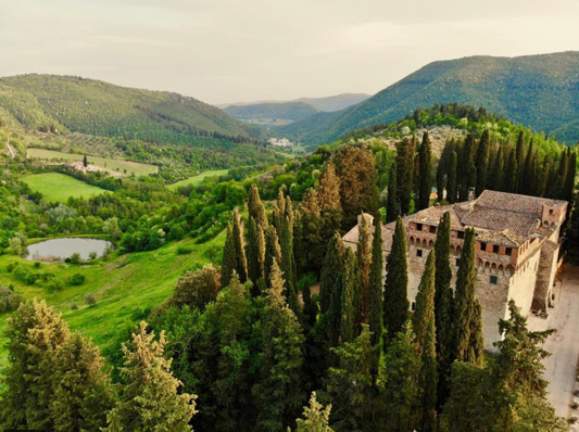 Sunshine in Tuscany